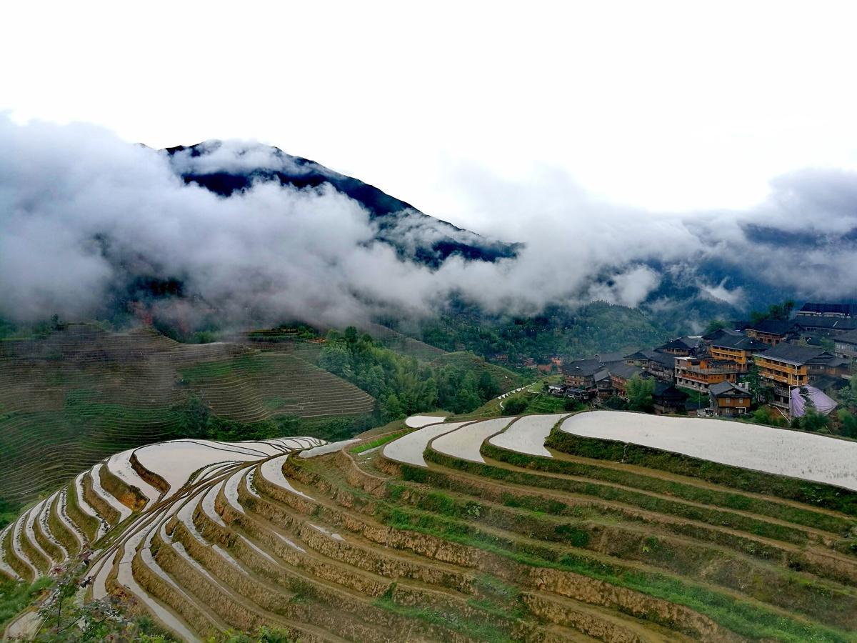 Rice View Villa Longsheng Exterior photo