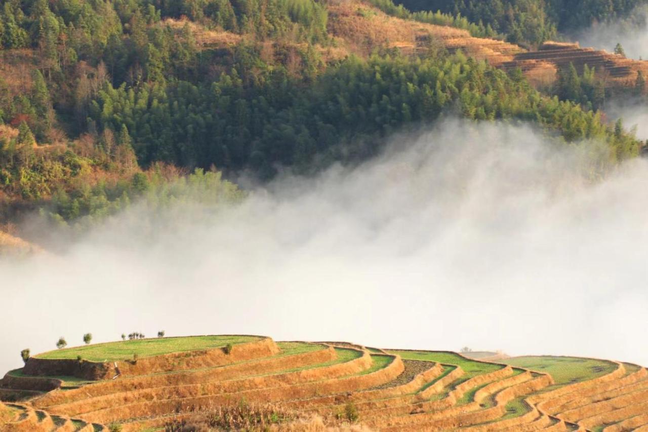 Rice View Villa Longsheng Exterior photo